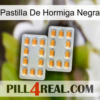 Black Ant Pill cialis4